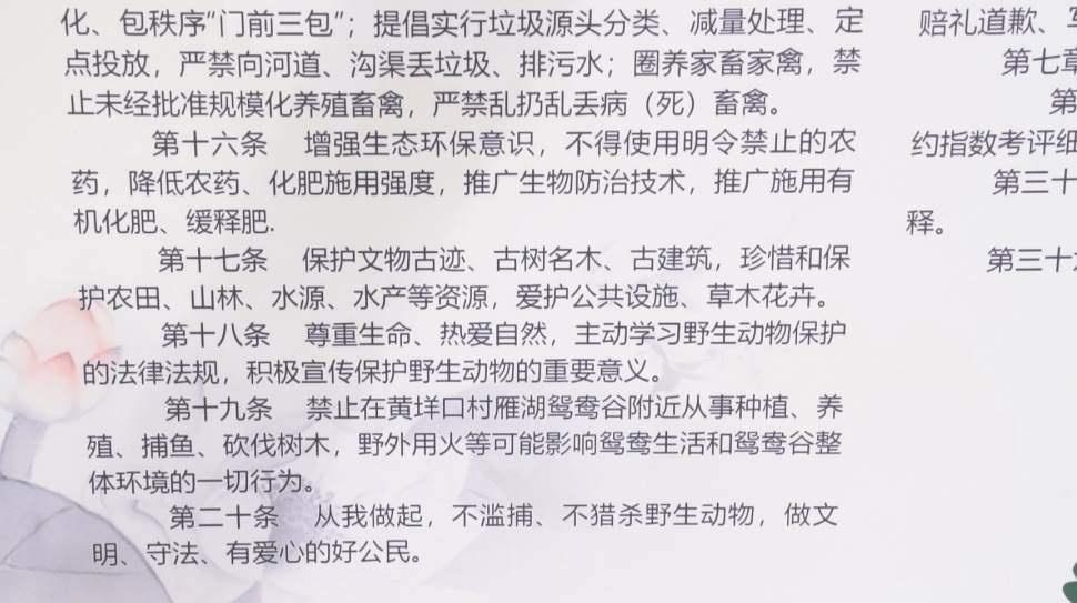 首批南下越冬鸳鸯抵达景宁，村民自发成立护卫队守护  第5张