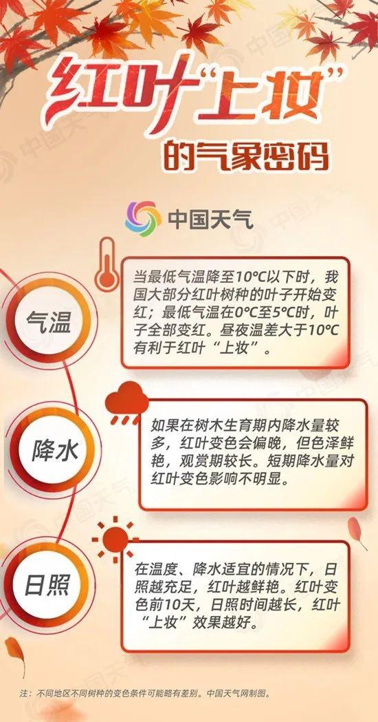惊！秋叶变色竟与这些气象密码有关，你知道吗？  第2张