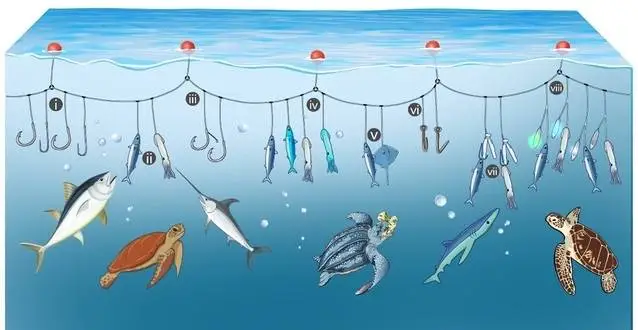 海龟兼捕减缓方法有效性研究取得新进展!上海海洋大学等科研团队成果发表于顶级期刊 第2张 海龟兼捕减缓方法有效性研究取得新进展!上海海洋大学等科研团队成果发表于顶级期刊 第2张