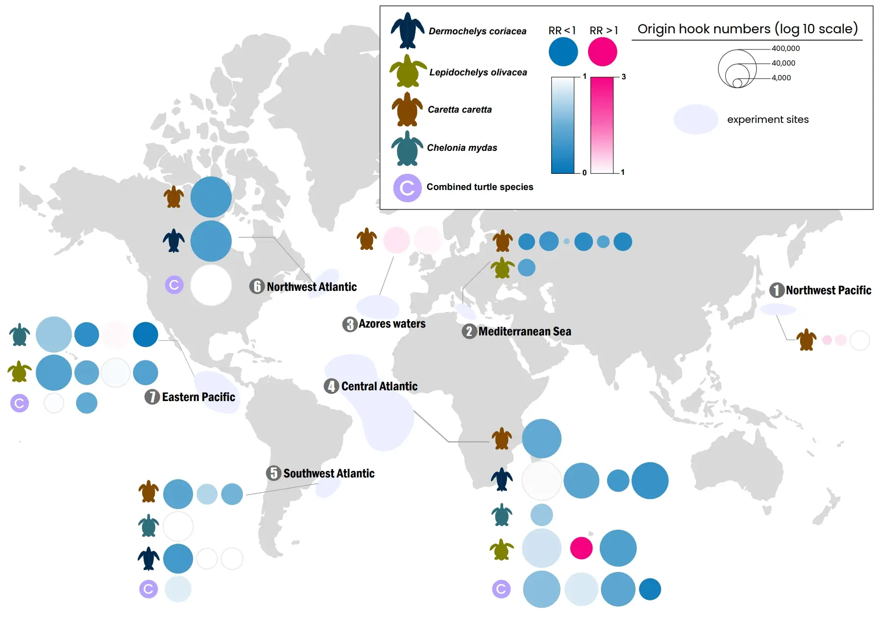 海龟兼捕减缓方法有效性研究取得新进展!上海海洋大学等科研团队成果发表于顶级期刊 第3张 海龟兼捕减缓方法有效性研究取得新进展!上海海洋大学等科研团队成果发表于顶级期刊 第3张