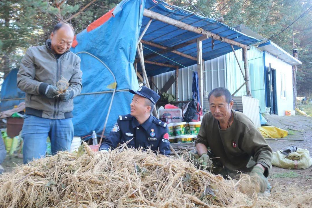 金秋时节，长白县民警化身及时雨助力参农秋收  第2张