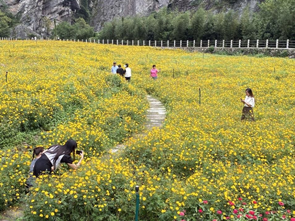 冷空气驾到！温州气温骤降，你准备好了吗？  第1张
