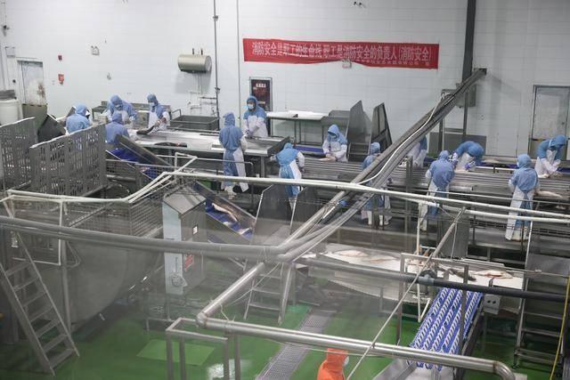 青海龙羊峡库区：冷水鱼产业的国际化之路，你了解多少？  第3张