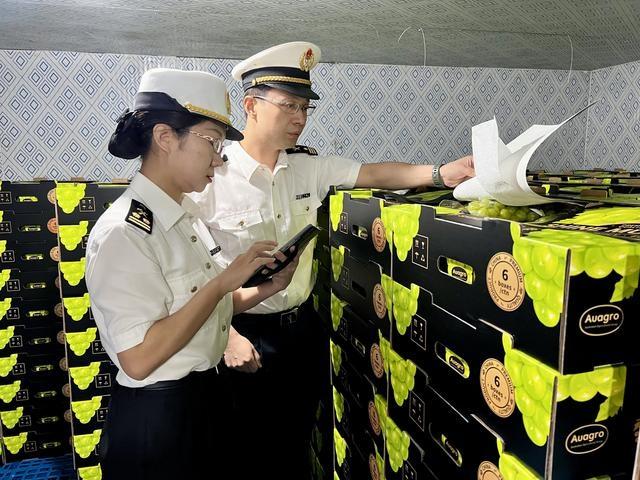 突破！宁波地区种植的葡萄首次出口，背后的故事令人惊叹  第2张