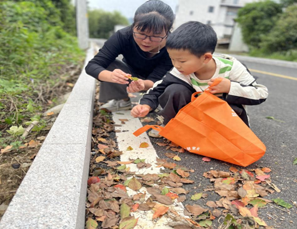 落叶成画，变废为宝！杭州这个活动让孩子们爱上垃圾分类  第1张