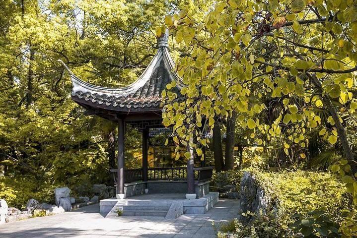 镇江的秋天，美得如此诗意，错过再等一年  第3张