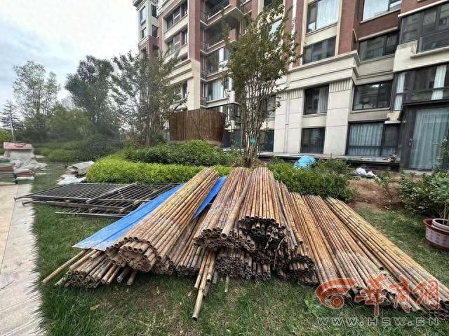 合能铂悦府小区多户业主乱搭乱建，公共绿地被侵占，谁来管？