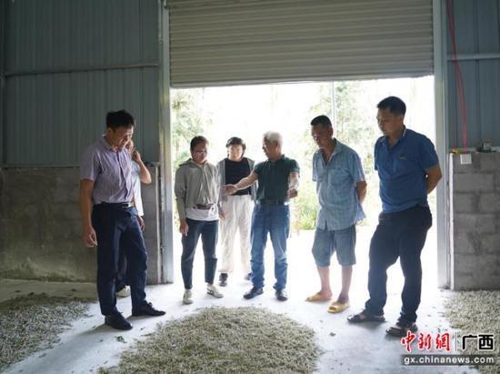 18 名专家深入巴马田间地头，农户直呼：收入增加全靠他们  第2张