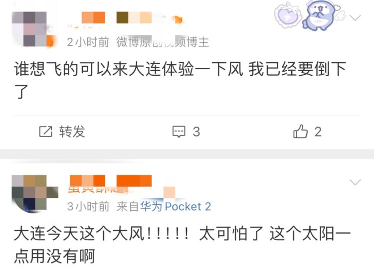 大连大风有多猛？10 级大风刮出推背感，43 个观测站点记录到  第3张