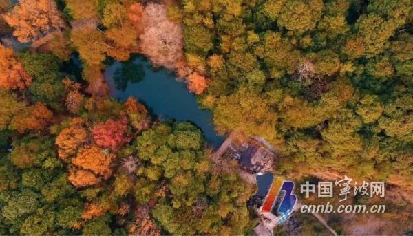 全新亮相！溪口—滕头旅游景区，秋天高颜值打卡点等你来  第4张
