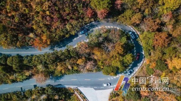 全新亮相！溪口—滕头旅游景区，秋天高颜值打卡点等你来  第5张