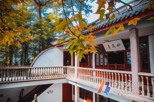 全新亮相！溪口—滕头旅游景区，秋天高颜值打卡点等你来  第6张