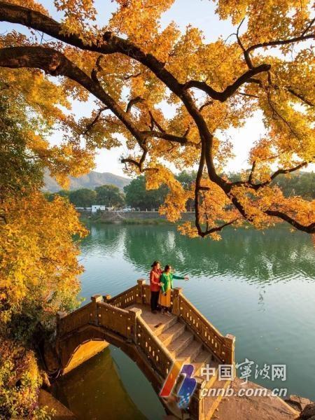 全新亮相！溪口—滕头旅游景区，秋天高颜值打卡点等你来  第7张