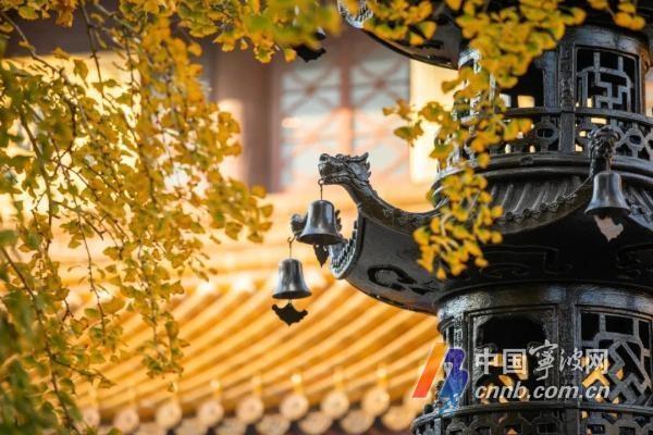 全新亮相！溪口—滕头旅游景区，秋天高颜值打卡点等你来  第8张