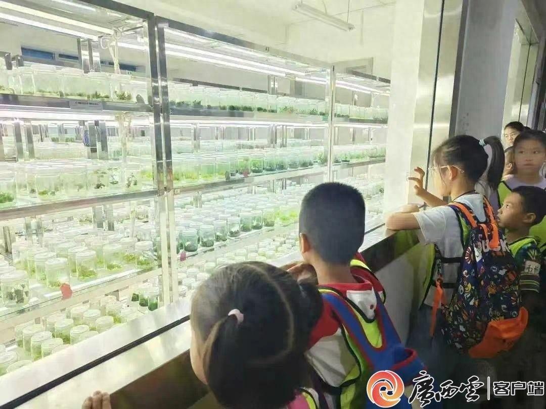 300 多名少年儿童齐聚，共赴这场自然生态之约