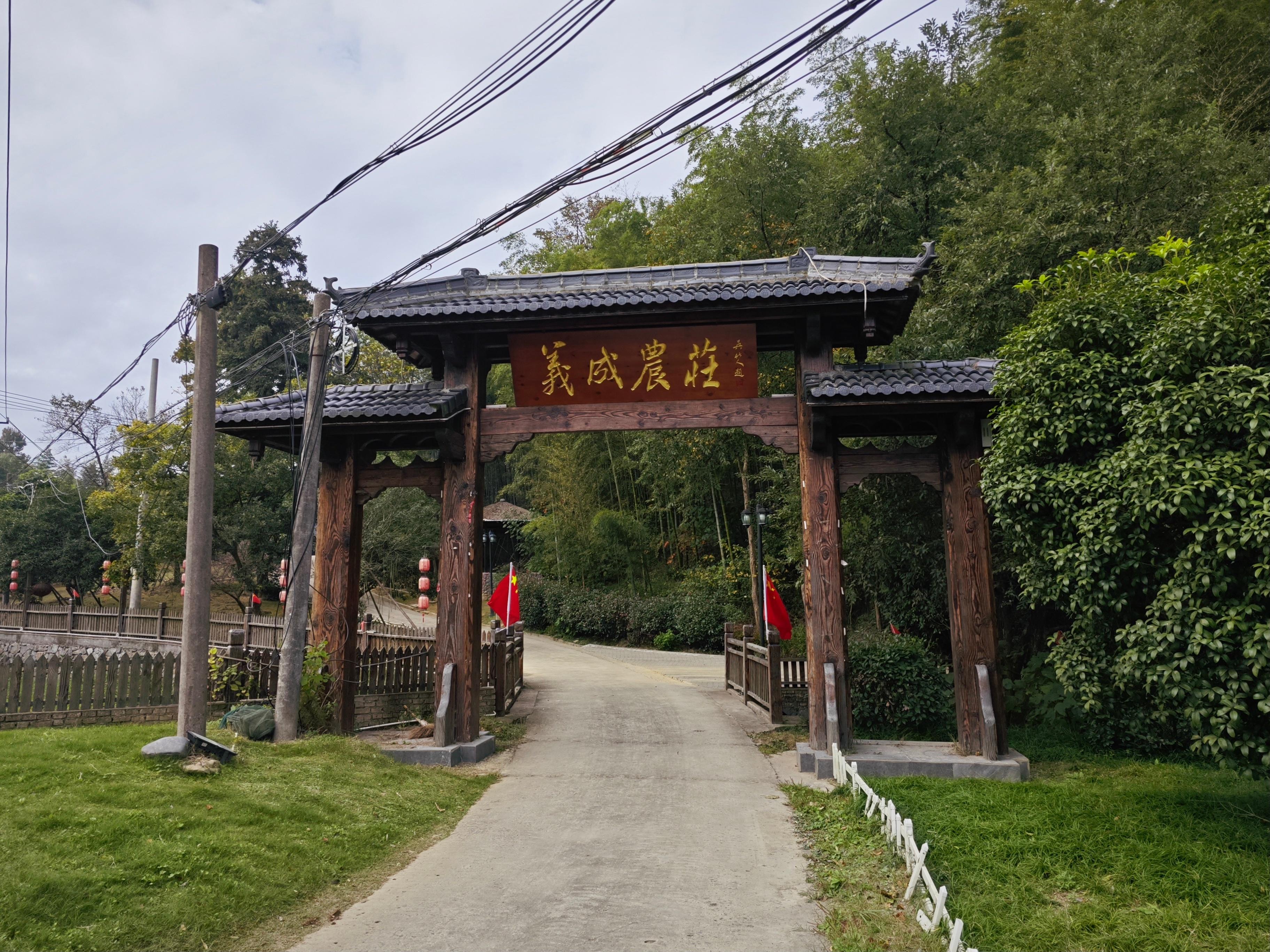 广德市升平街道团山村：奏响绿水青山与乡村振兴的交响曲  第2张