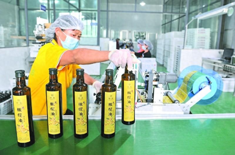 年产林粮 80 万吨，综合产值 100 亿！南充市林下经济产业大爆发  第1张