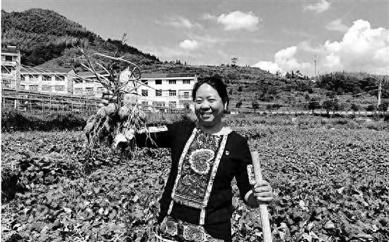 3 万斤番薯积压，70 万债务压身，她却坚强乐观：我要撑下去