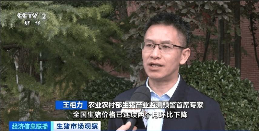 10 月生猪价格回落，头均盈利仍超 400 元，你还在等什么？