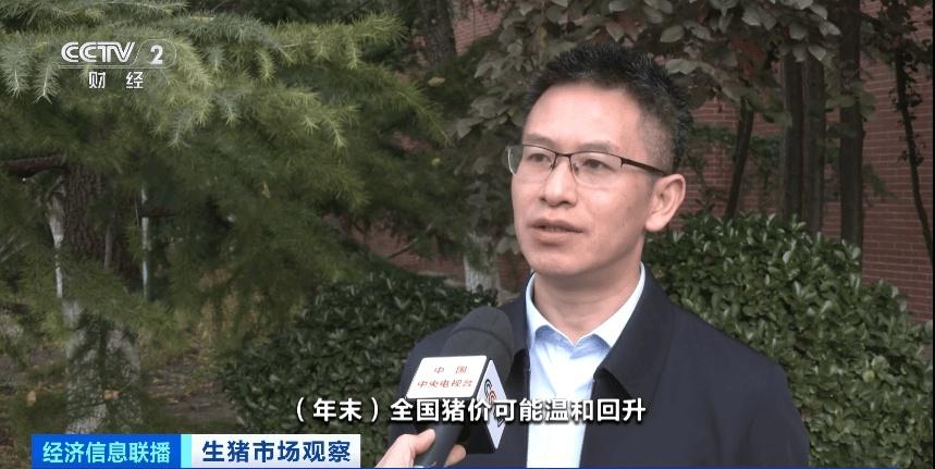 10 月生猪价格回落，头均盈利仍超 400 元，你还在等什么？  第3张