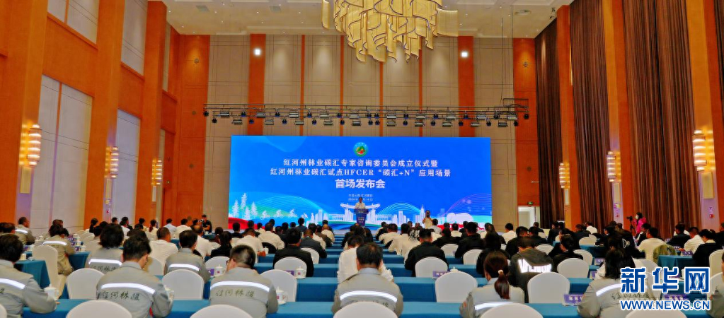118.5 万元！云南红河州完成林业碳汇试点应用场景首场交易