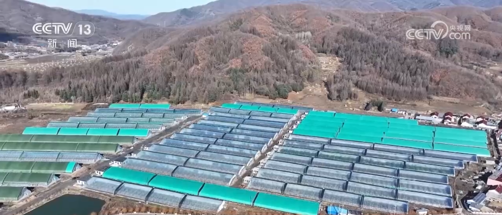 量足价稳！山西多地农贸市场提前备货，保障蔬菜肉类供应  第3张