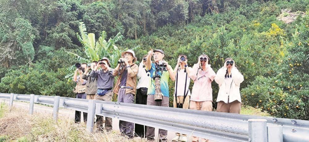 130 名选手齐聚福清东张镇，12 小时全力搜寻，竟发现这么多珍稀鸟种