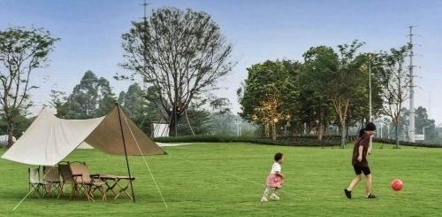 快来番禺这个公园！它的生态设计荣获两项国际大奖，美爆了  第2张