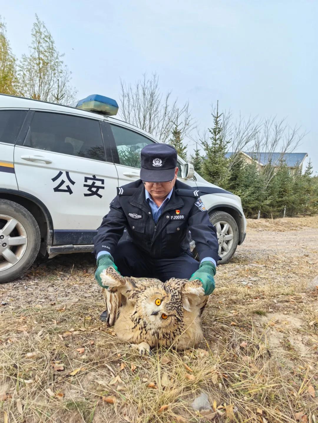 甘肃张掖民乐县：生态警务为生态文明建设保驾护航  第3张