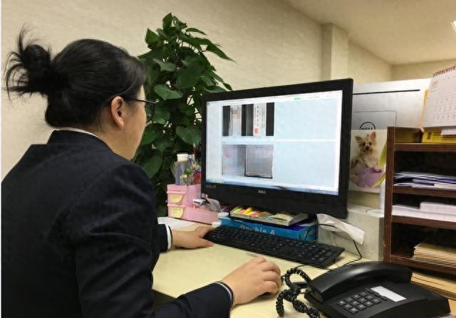 一网通办六周年，杨浦区司法局如何释放法治惠民红利？