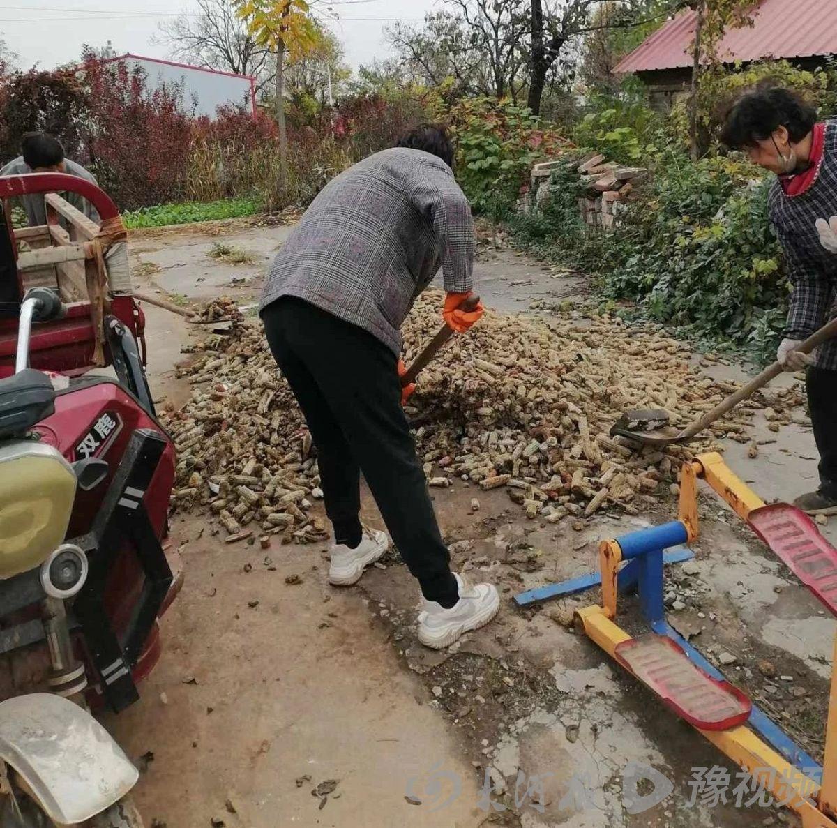 河南焦作一街道多措并举，全力打造和美乡村，颜值气质大提升  第3张