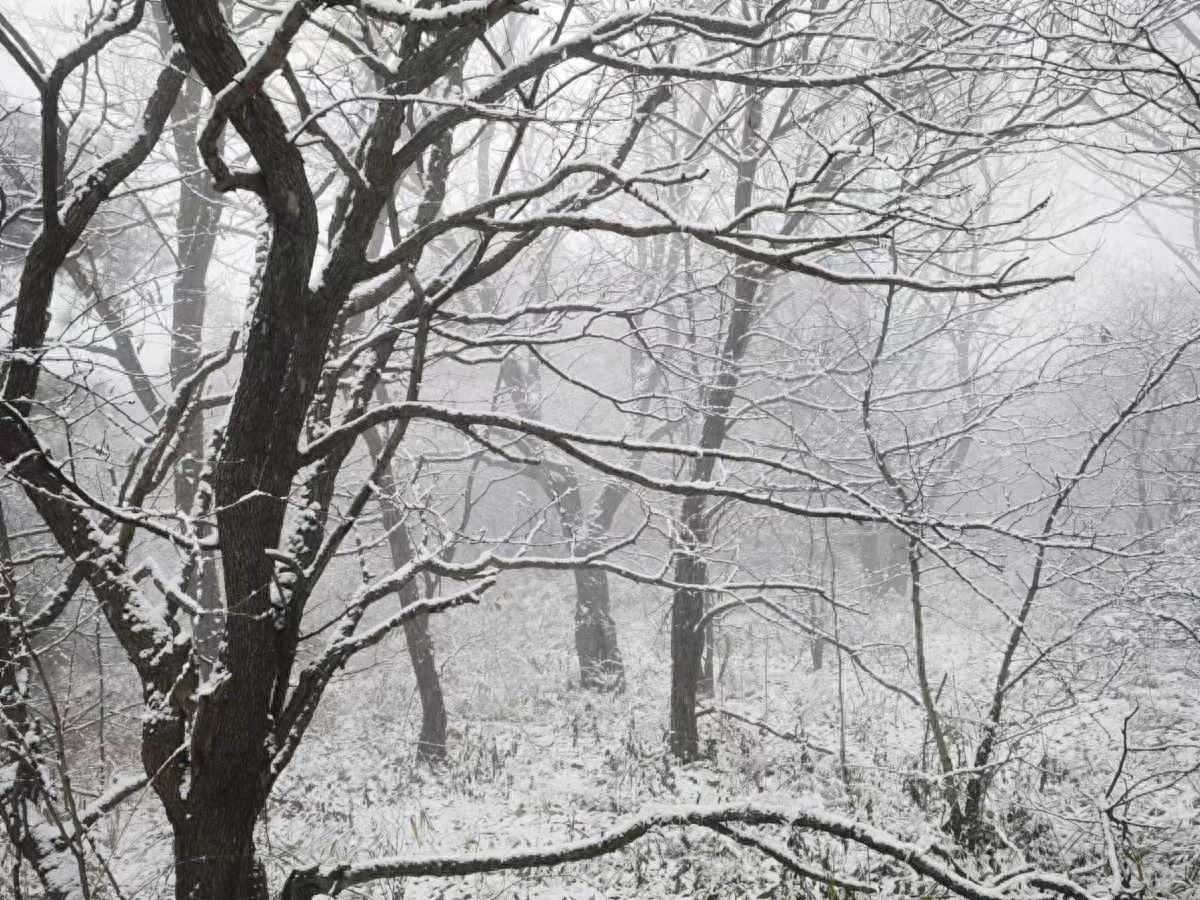 河南初雪偏心？只宠老君山，网友：雪被私藏了吗？