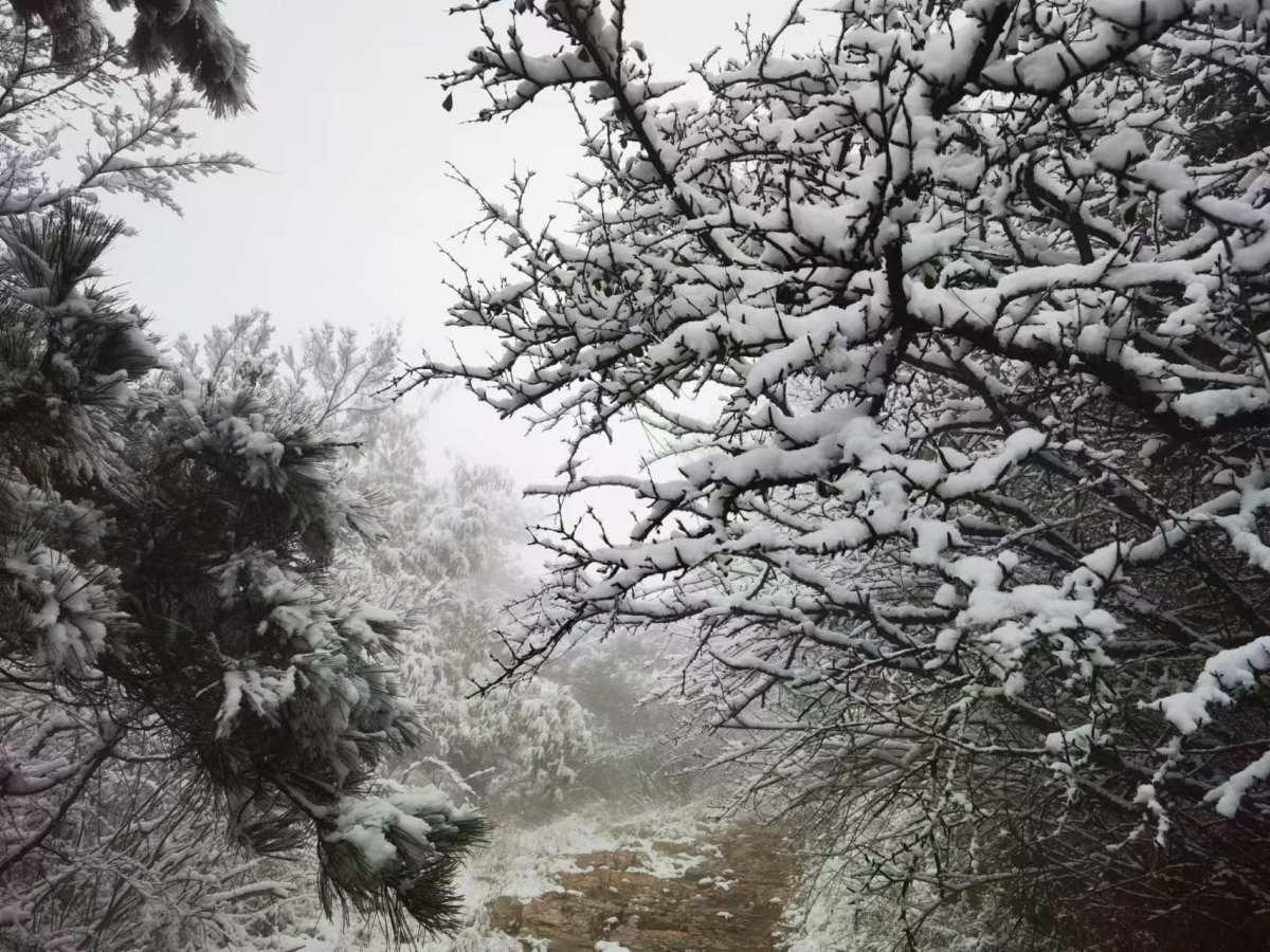 河南初雪偏心？只宠老君山，网友：雪被私藏了吗？  第2张