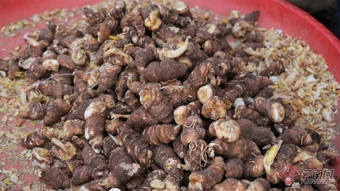 5000 余亩药园子，16 年坚守，马康寿家门口务工创造财富神话  第5张