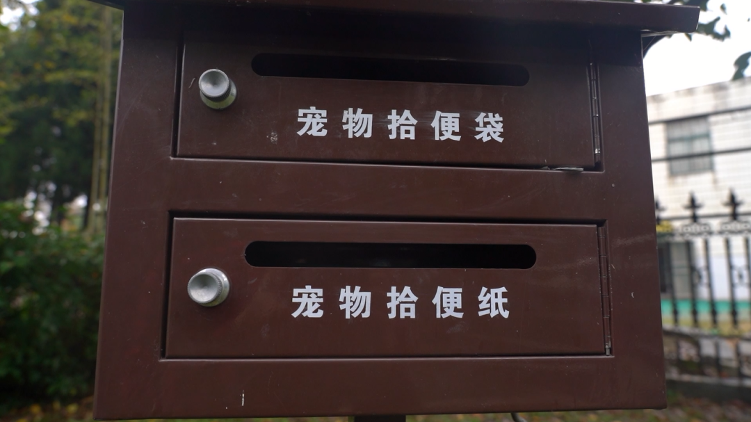 文明养犬为何如此之难？不文明养犬行为何时休？  第12张