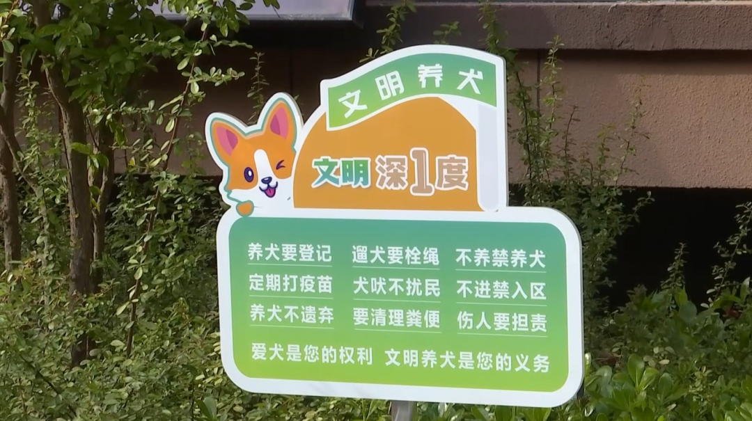 文明养犬为何如此之难？不文明养犬行为何时休？  第3张