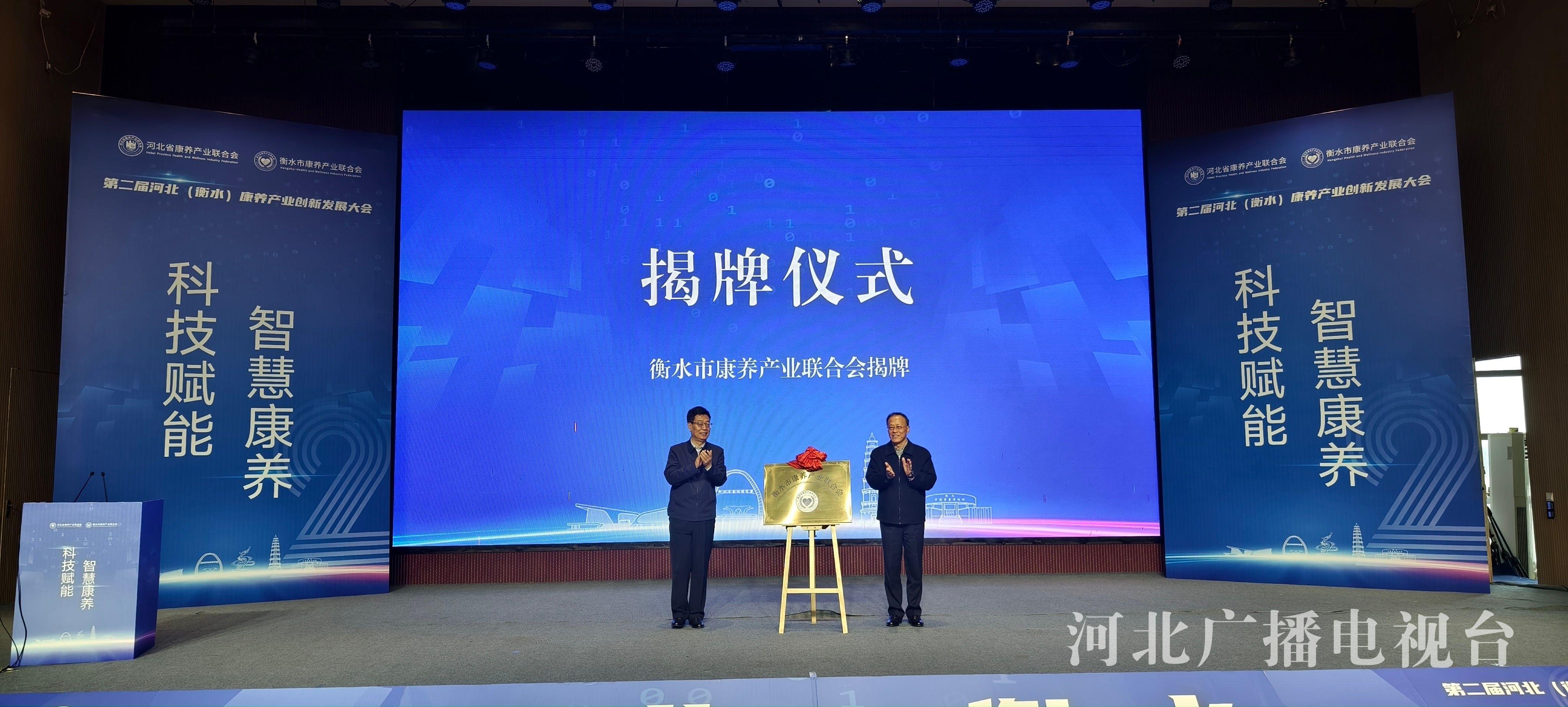 第二届河北（衡水）康养产业创新发展大会举行，共探康养产业未来  第2张