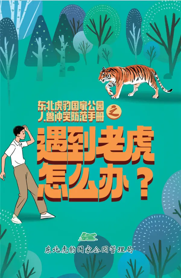 突发！东北虎进村伤人，国家公园管理局紧急启动应急预案
