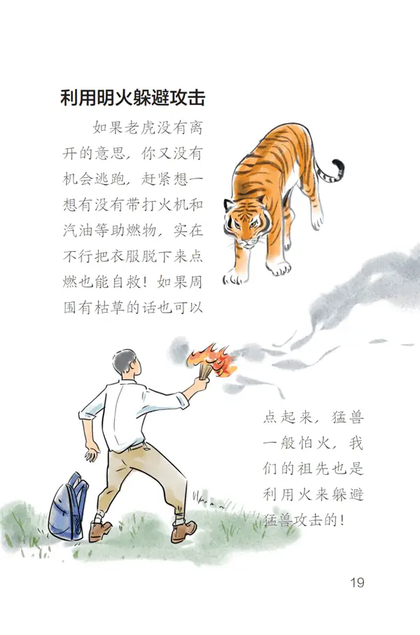 突发！东北虎进村伤人，国家公园管理局紧急启动应急预案  第5张