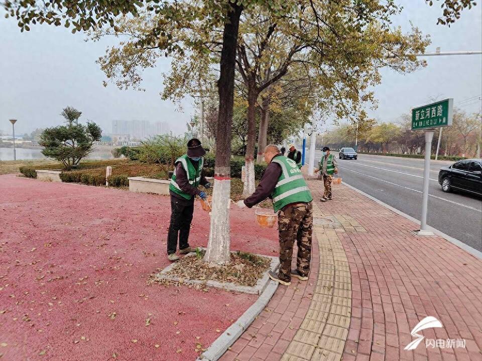你知道吗？滨州树木穿上了防寒衣，还能防治病虫害  第1张
