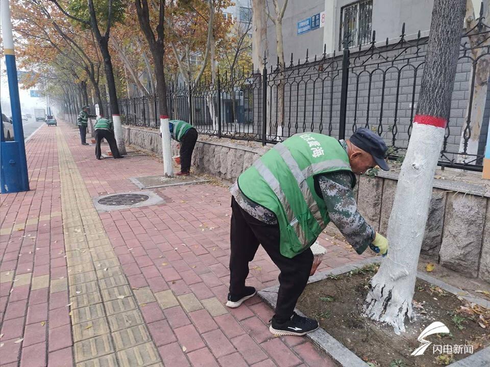 你知道吗？滨州树木穿上了防寒衣，还能防治病虫害  第2张