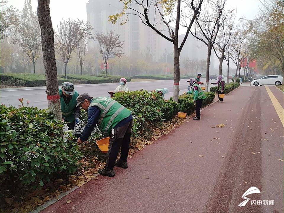 你知道吗？滨州树木穿上了防寒衣，还能防治病虫害  第3张