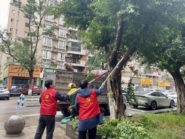 城管进社区，解决大树修剪难题，居民点赞  第2张