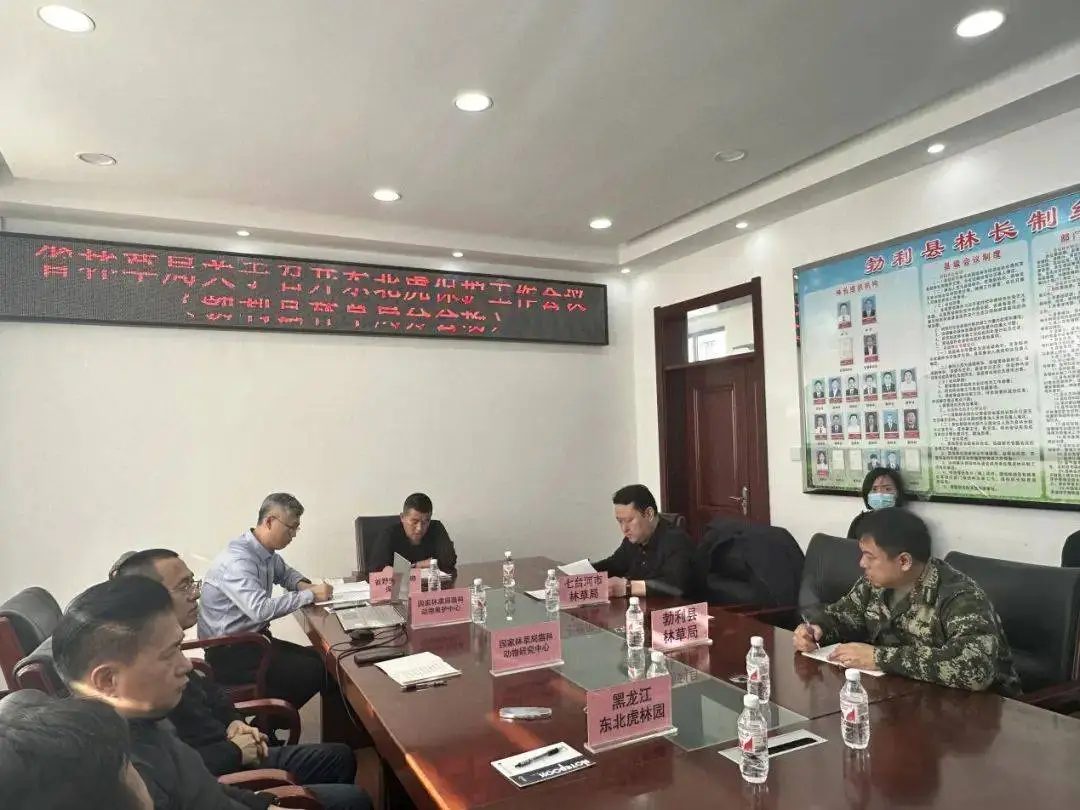 黑龙江勃利县再部署东北虎过境事件，国家林草局专家专题培训