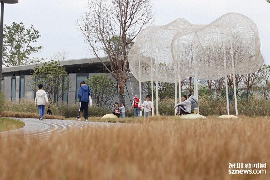 深圳入秋有望！未来几天冷空气助力，万宜减弱远离，中雨已至