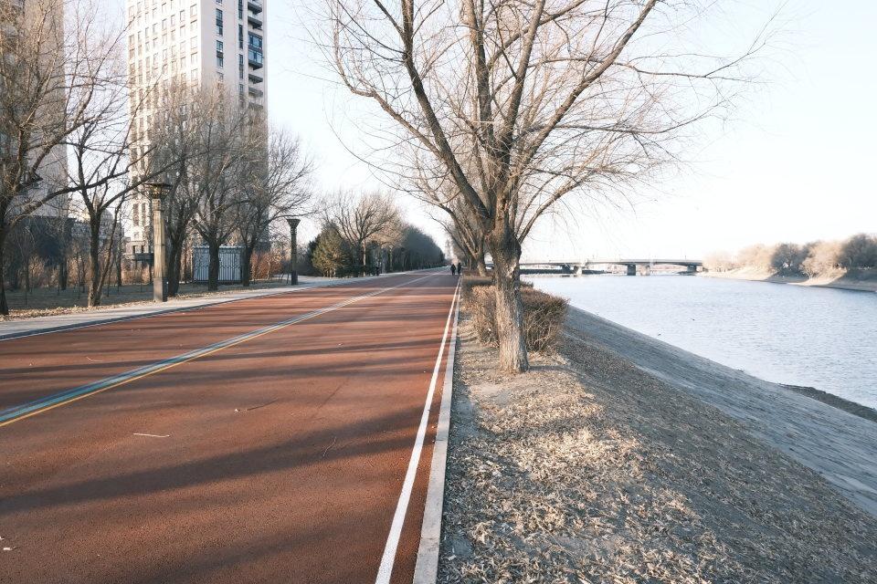 400 余米慢行绿道建设完毕，市民又多了一处休闲好去处  第3张