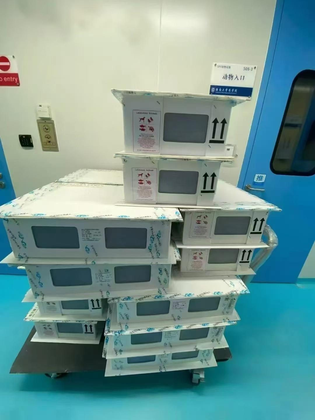 厉害了！山西实验小鼠搭乘天舟八号上天，身负重任  第3张