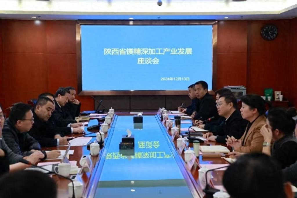 西安双中心建设加速推进，鄠邑区如何成为镁精深加工产业新引擎？
