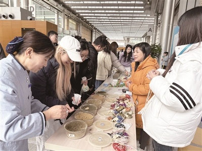 朝阳职工中医药文化嘉年华：五大主题区带你体验中医魅力，专家一对一健康咨询