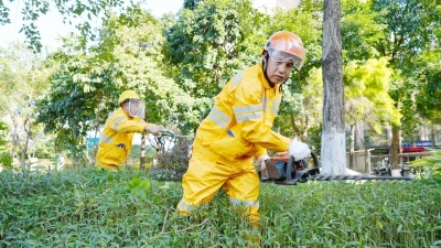 65名园林大师齐聚桂城，1小时修剪出城市绿美新气象